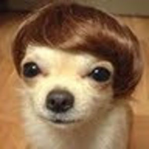 Meet your Posher, Caroline